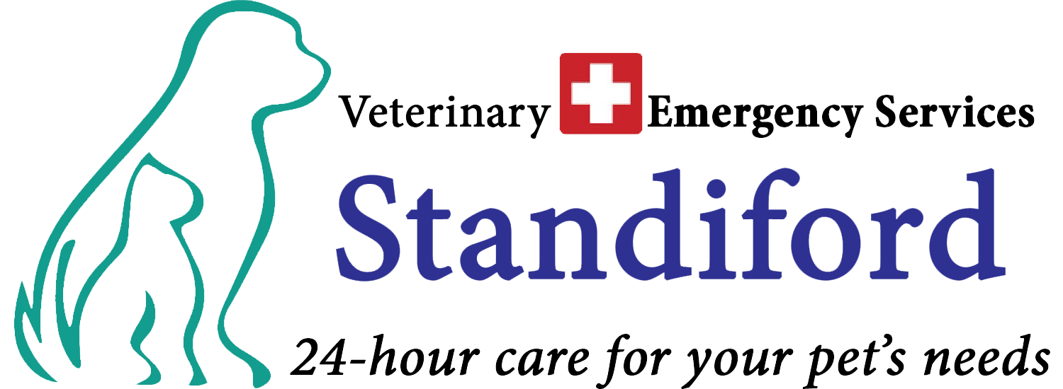 Veterinary Emergency Services