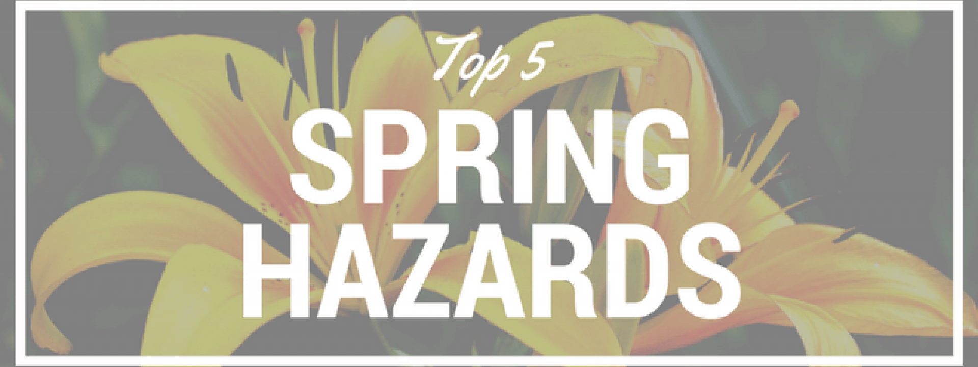 blog-title-top-5-spring-hazards.png