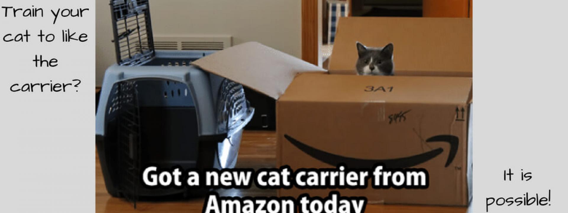 cat-carrier-Blog-Header.jpg