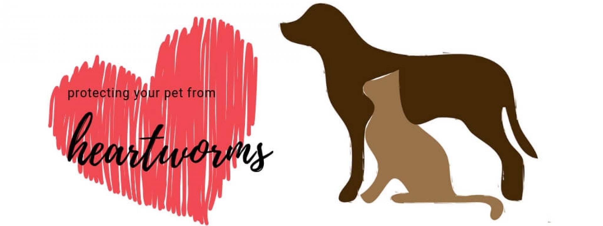 protect-from-heartworms-blog-header.jpg