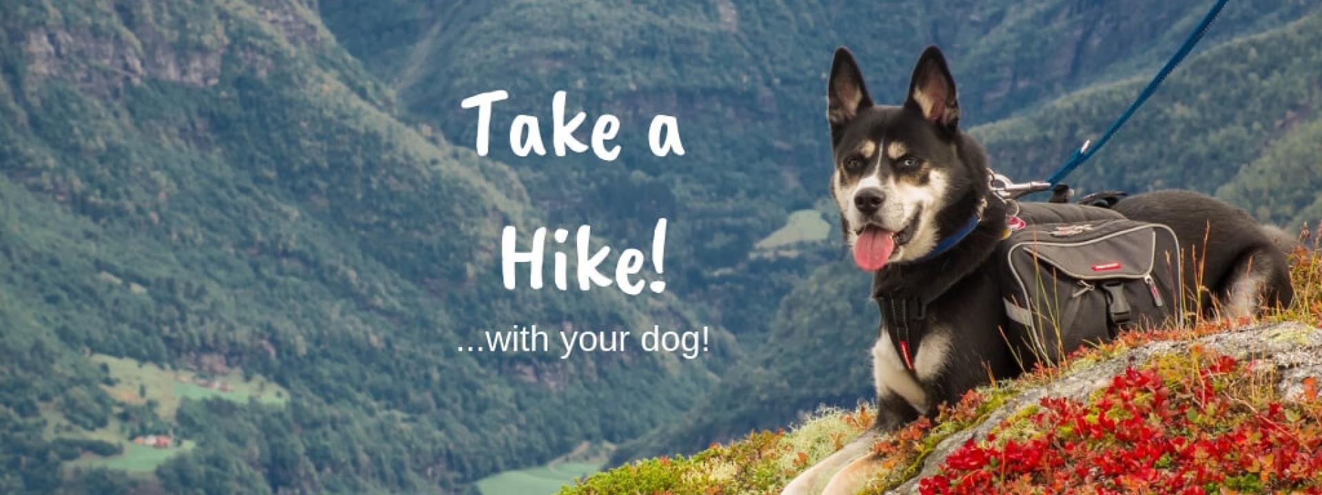 take-hike-blog-header.jpg